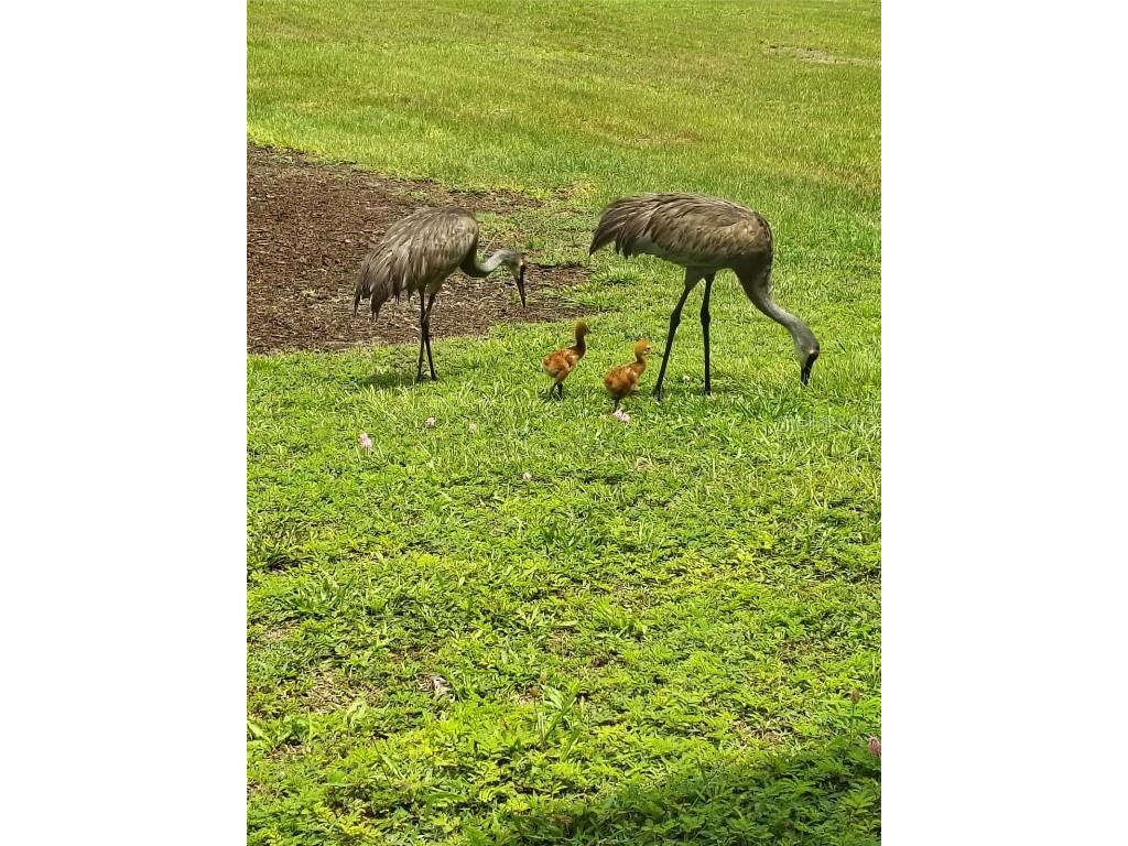 4004 Hidden River Lane Sarasota FL 34240 A4660693 image41