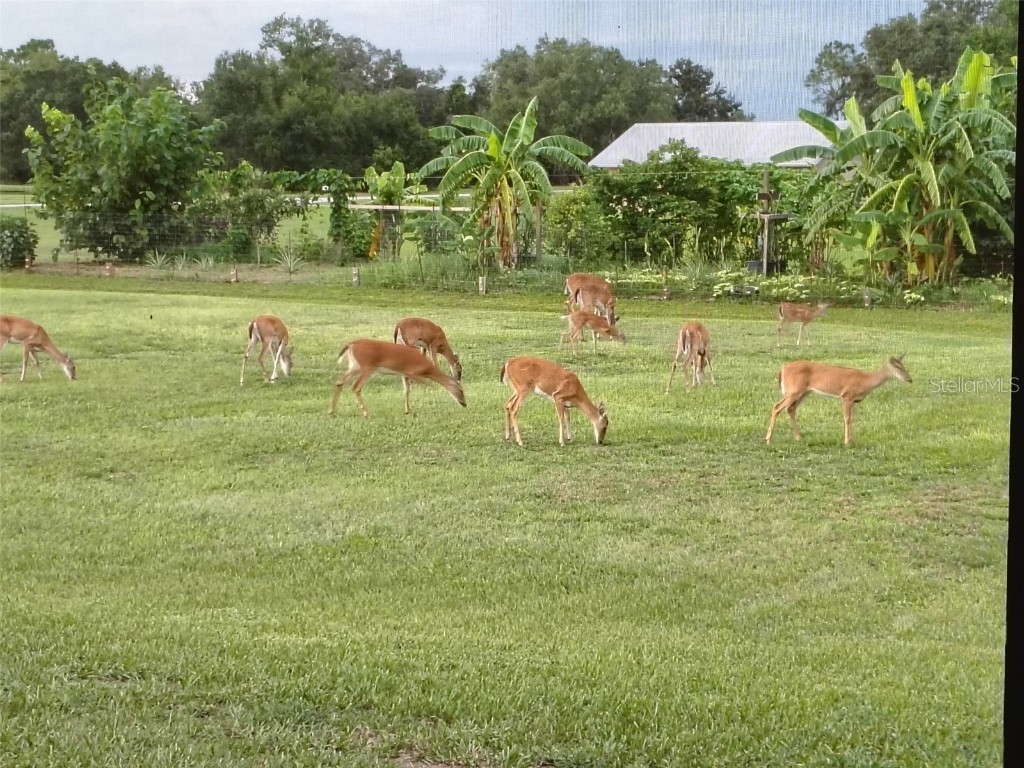 4004 Hidden River Lane Sarasota FL 34240 A4660693 image42