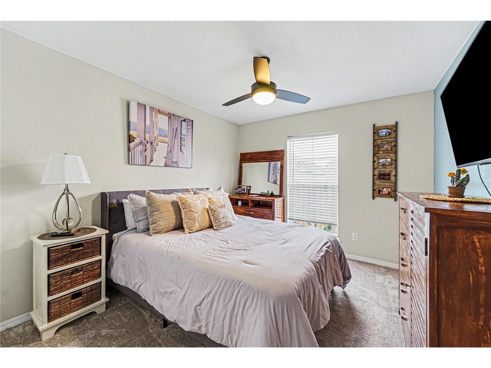 4004 Lady Palm Court Tampa FL 33624 TB8505413 image23