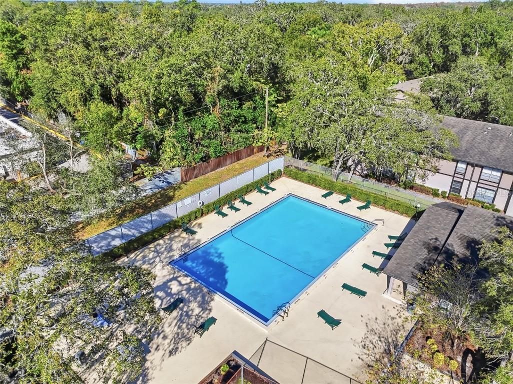 4004 Nestle Oaks Place #203 Tampa FL 33613 TB8456219 image28