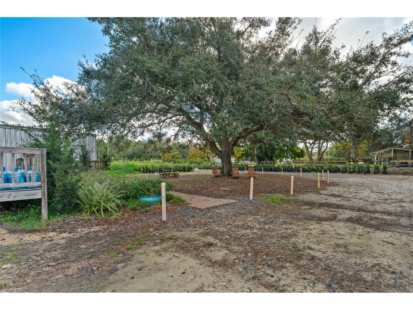4004 Rex Drive Winter Garden FL 34787 O6396205 image29