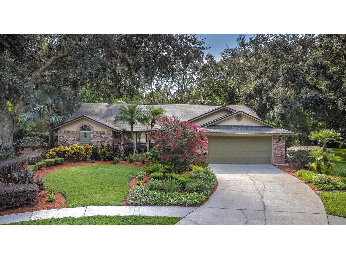 4005 Carenon Lane Valrico FL 33596 T3473975 image1