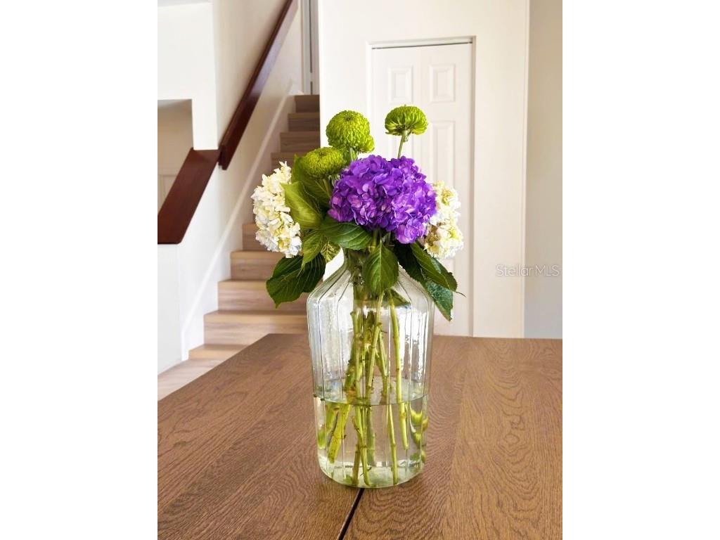 4005 Dellbrook Drive Tampa FL 33624 TB8442410 image9