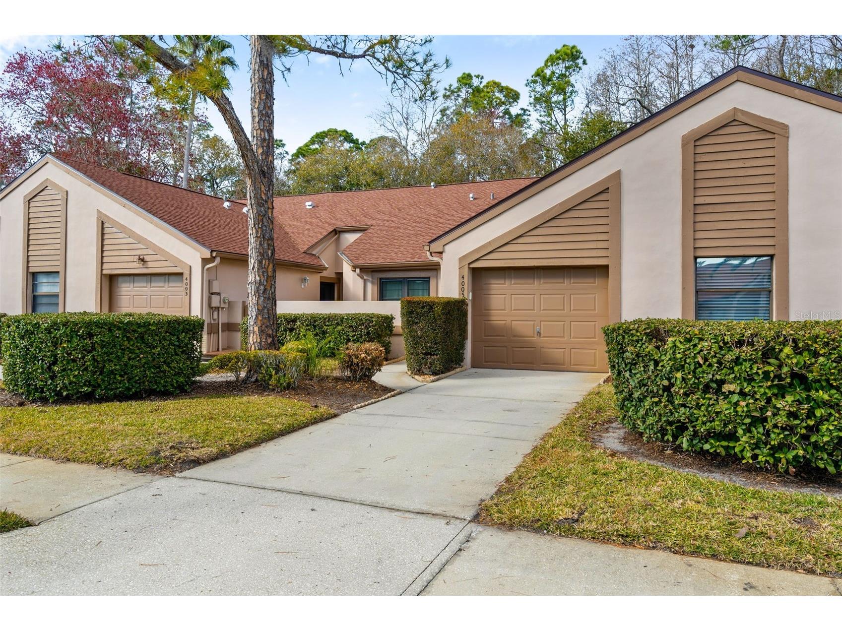 4005 Mermoor Drive Palm Harbor FL 34685 TB8473779 image2