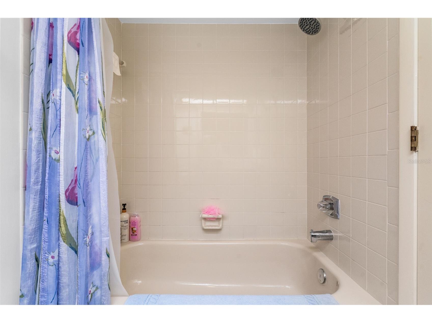 4005 Mermoor Drive Palm Harbor FL 34685 TB8473779 image25