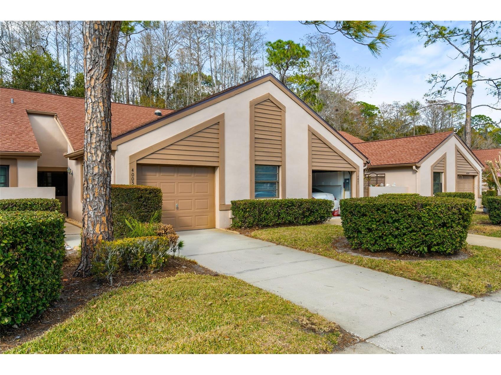 4005 Mermoor Drive Palm Harbor FL 34685 TB8473779 image3
