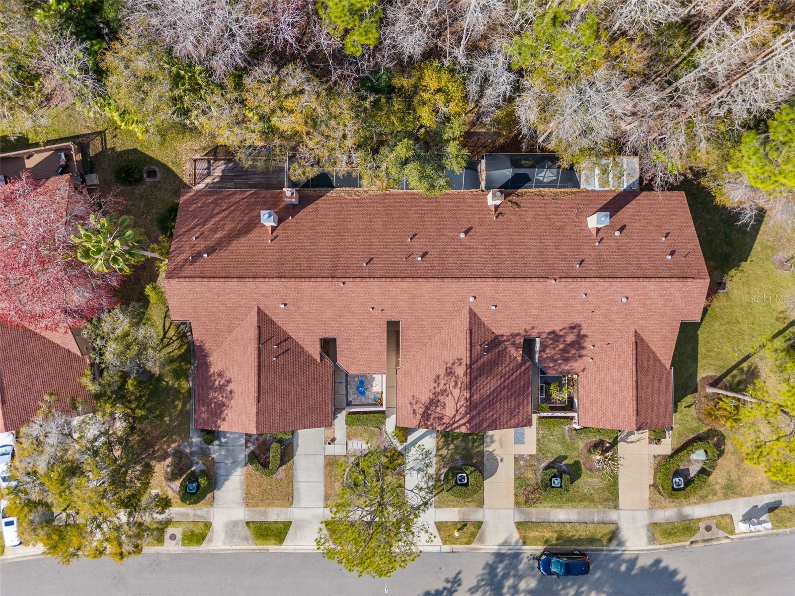 4005 Mermoor Drive Palm Harbor FL 34685 TB8473779 image40