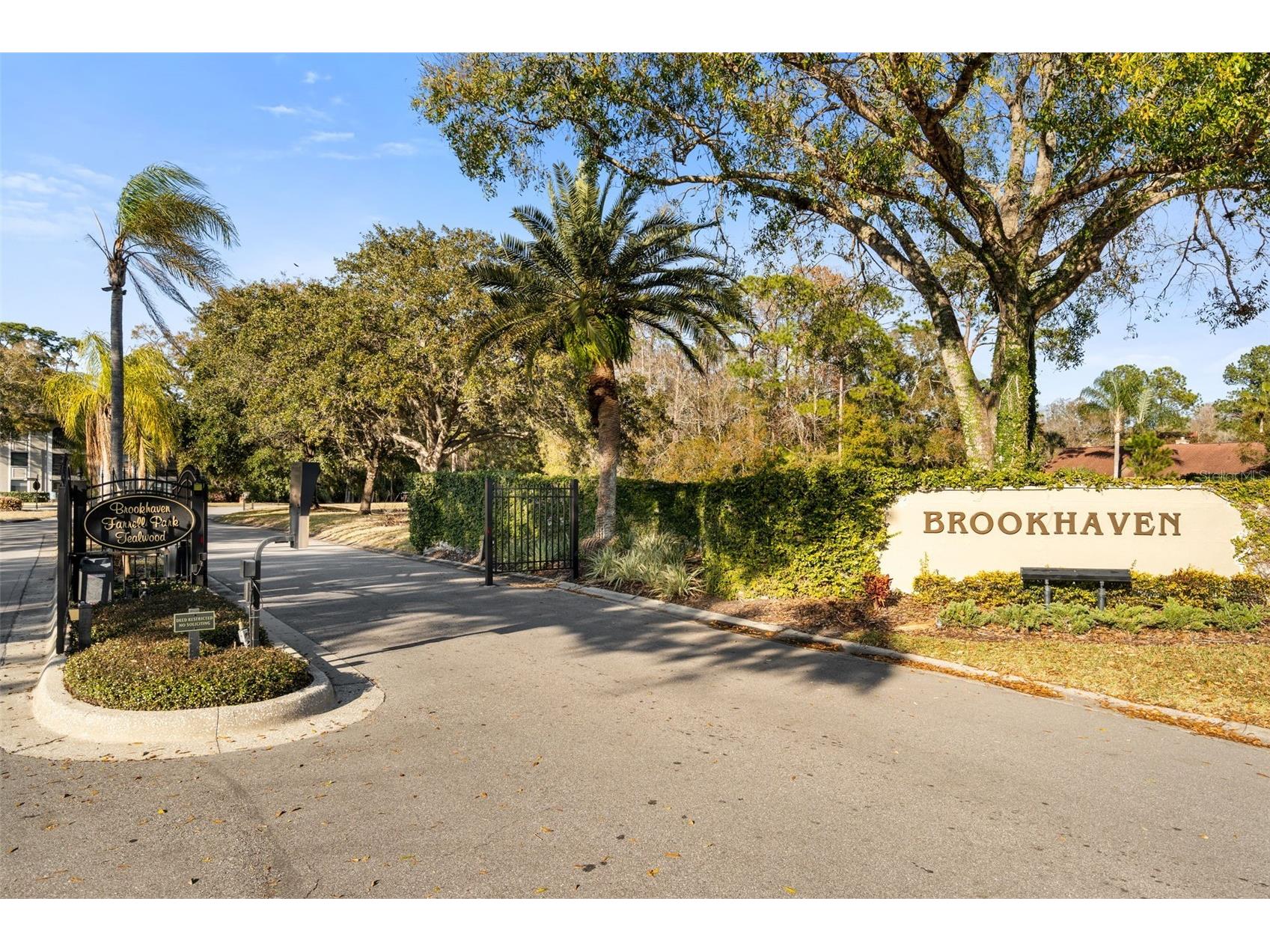 4005 Mermoor Drive Palm Harbor FL 34685 TB8473779 image44