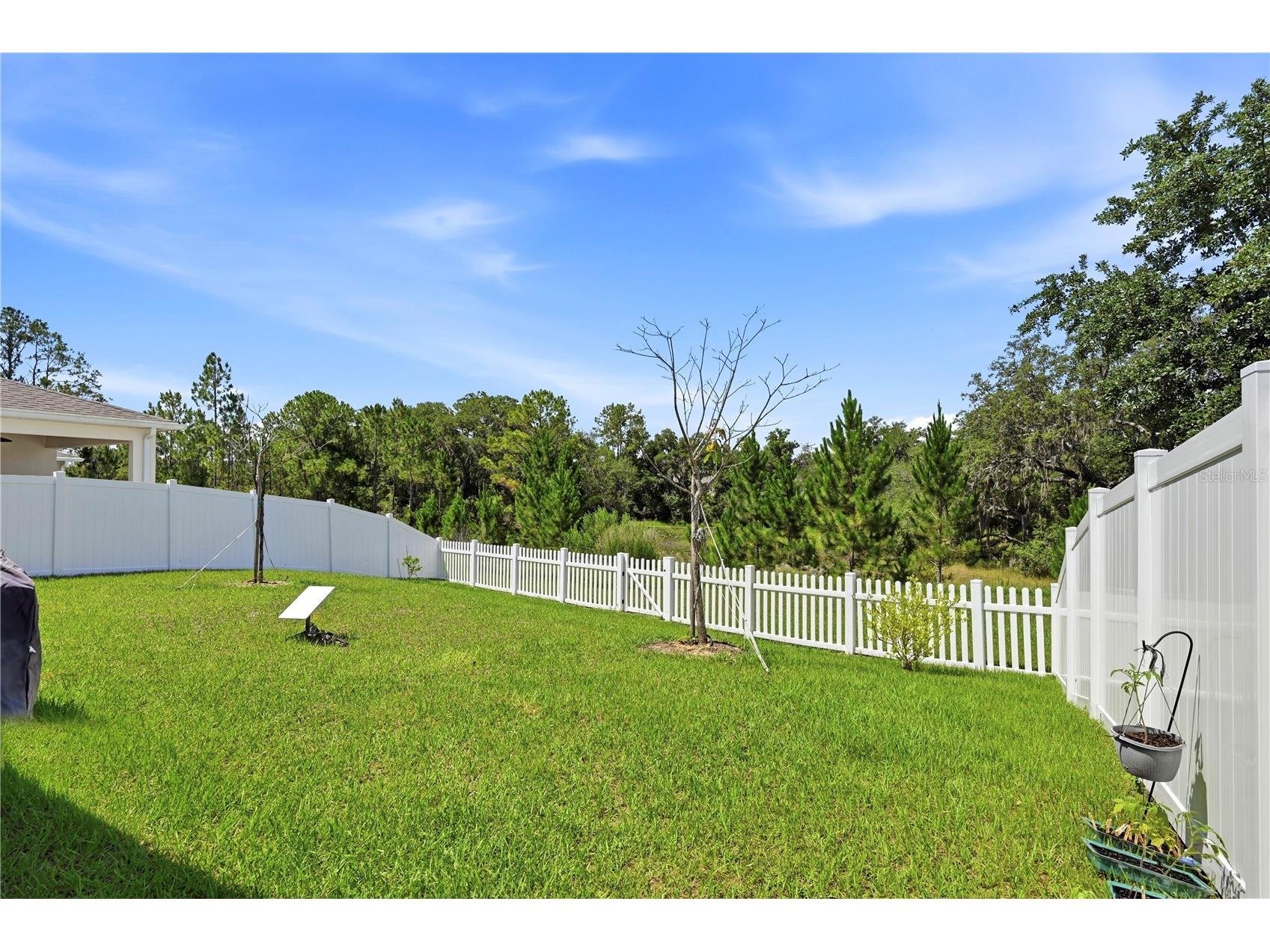 4005 Swan Goose Court Okahumpka FL 34762 V4949664 image24