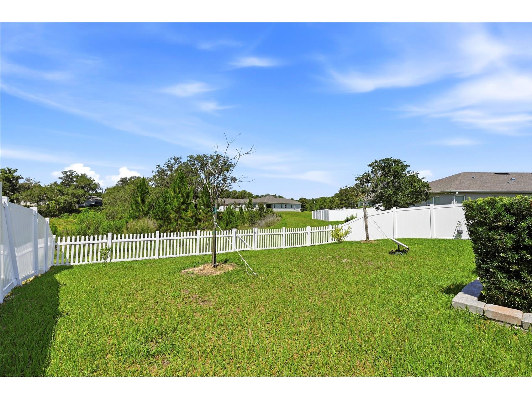 4005 Swan Goose Court Okahumpka FL 34762 V4949664 image25