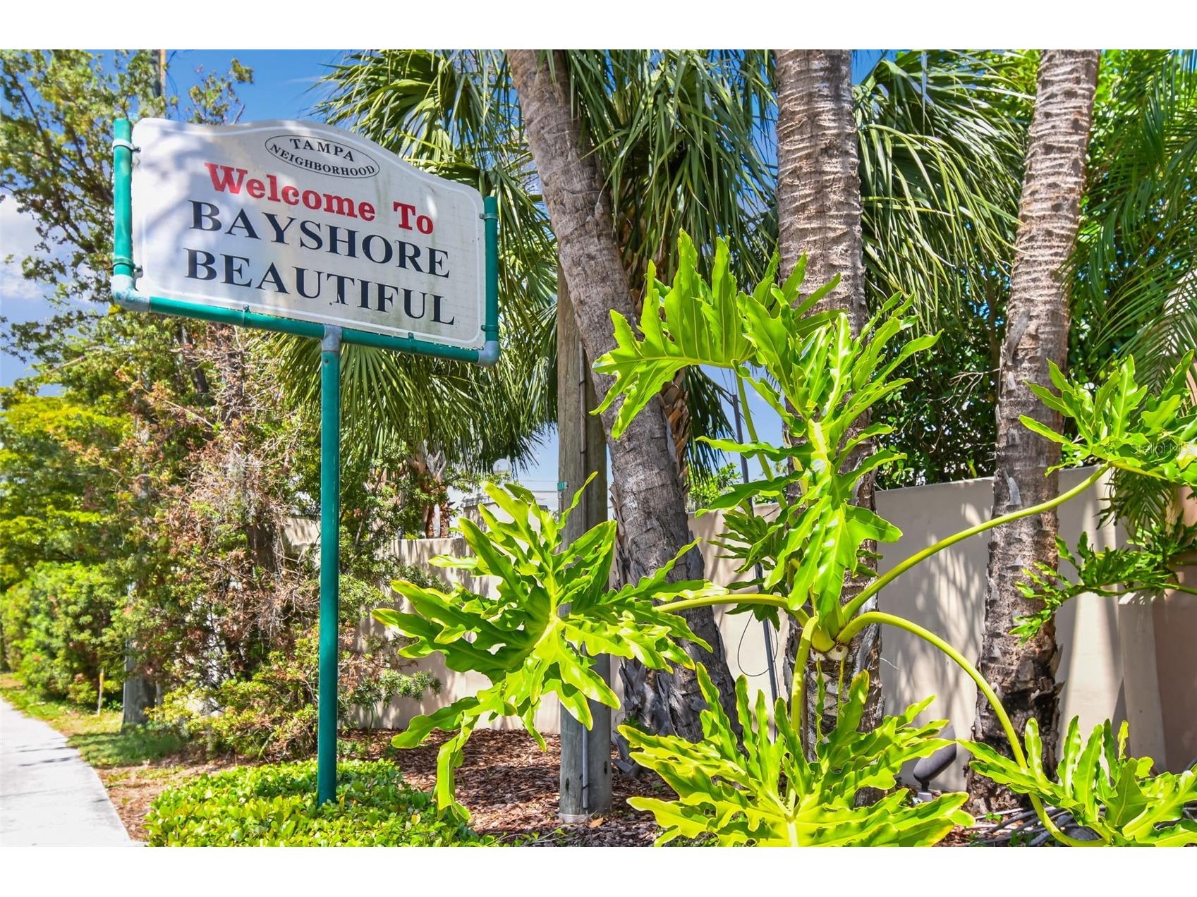 4005 W Tyson Avenue Tampa FL 33611 TB8495142 image59