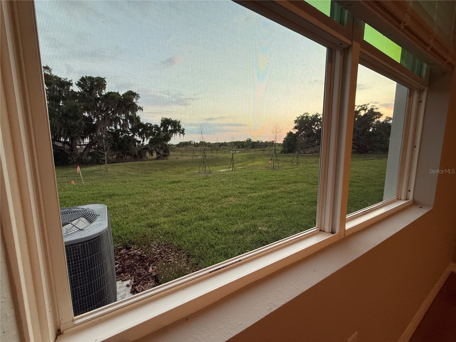 4005 Westwood Fields Loop #4005 Plant City FL 33565 O6401776 image23