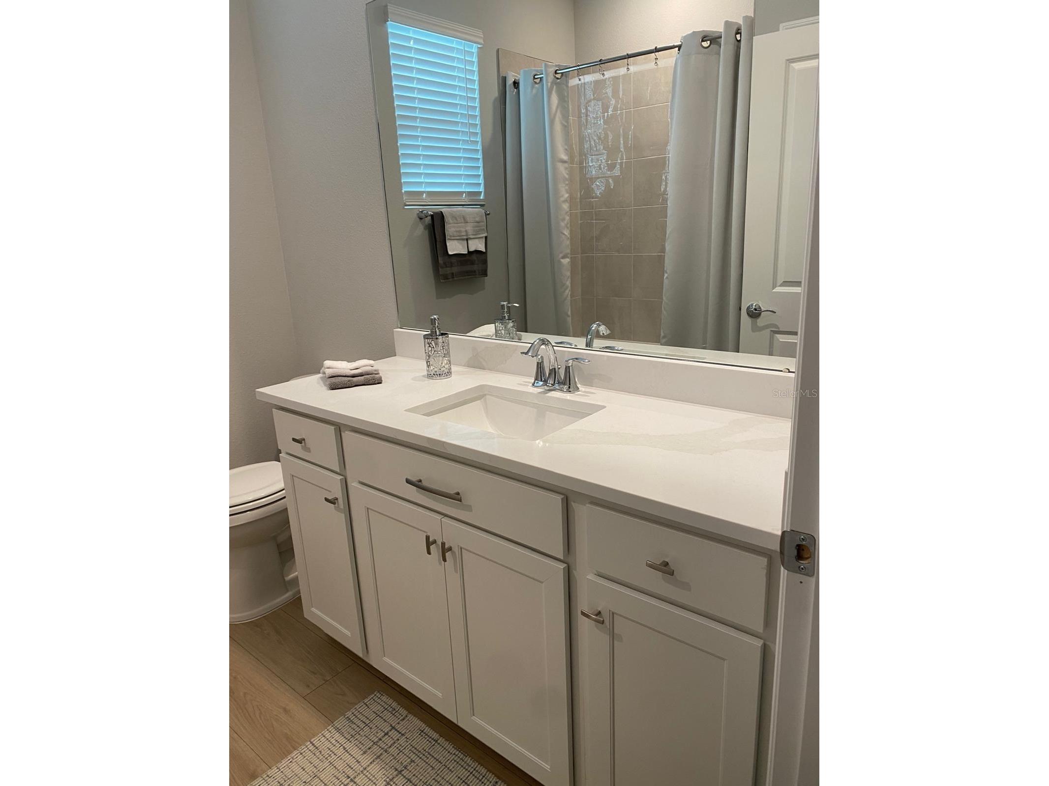 4005 Westwood Fields Loop #4005 Plant City FL 33565 O6401776 image31