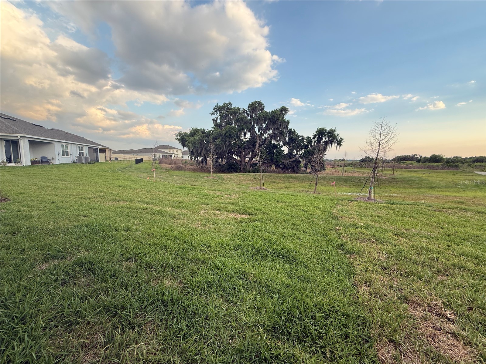 4005 Westwood Fields Loop #4005 Plant City FL 33565 O6401776 image35