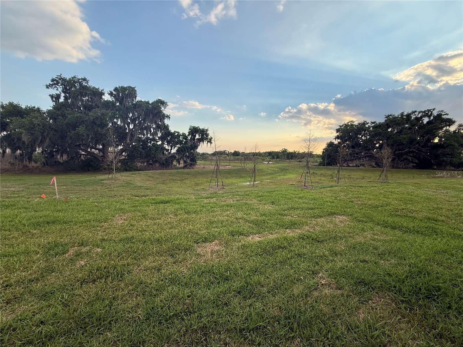 4005 Westwood Fields Loop #4005 Plant City FL 33565 O6401776 image36