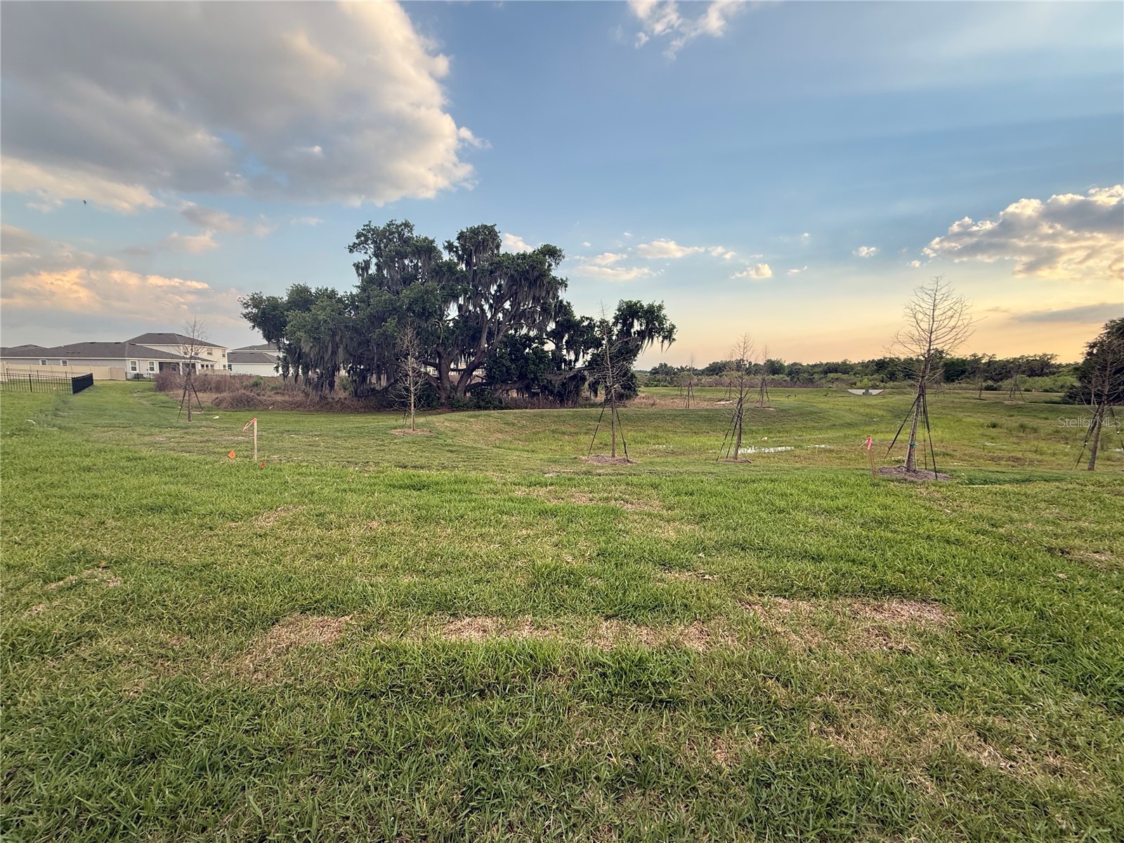 4005 Westwood Fields Loop #4005 Plant City FL 33565 O6401776 image37