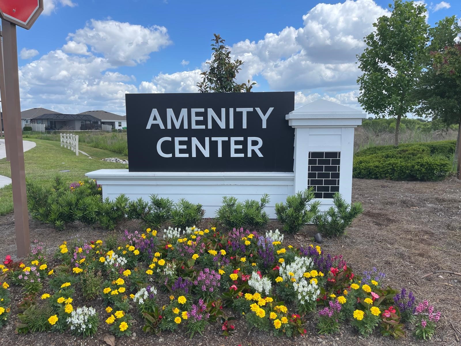4005 Westwood Fields Loop #4005 Plant City FL 33565 O6401776 image38