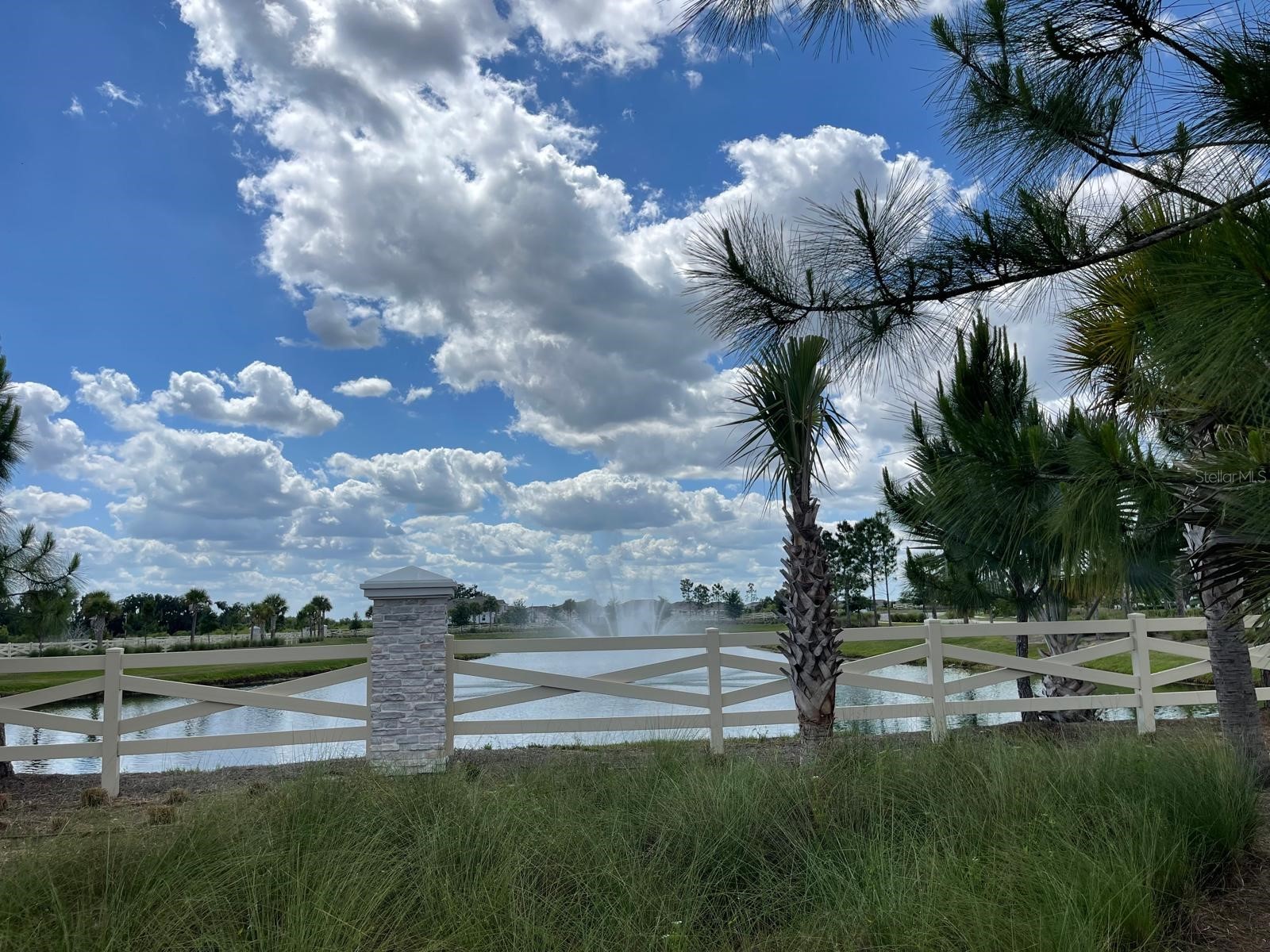 4005 Westwood Fields Loop #4005 Plant City FL 33565 O6401776 image48