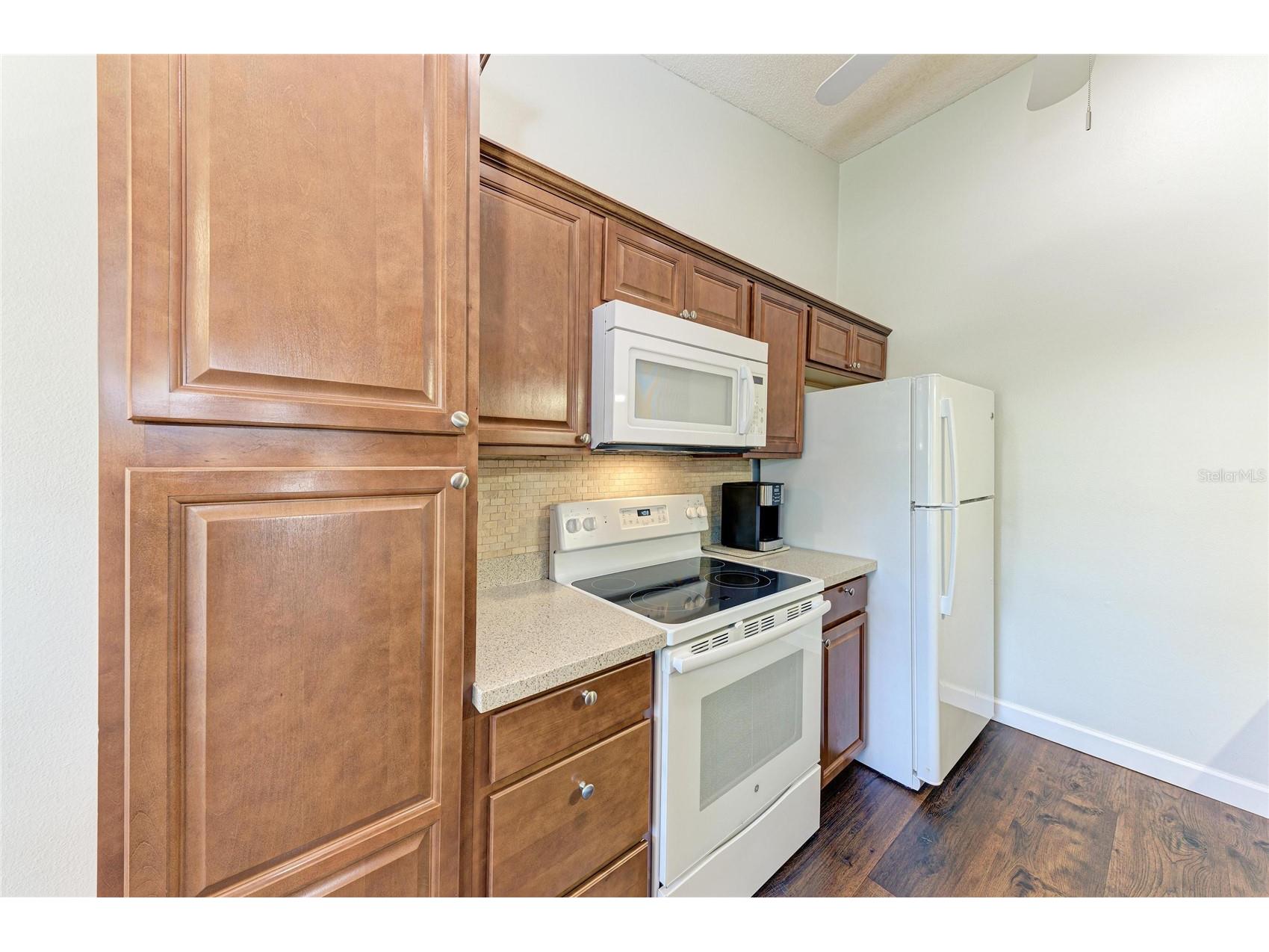 4006 36th Avenue Drive W Bradenton FL 34205 A4682794 image9