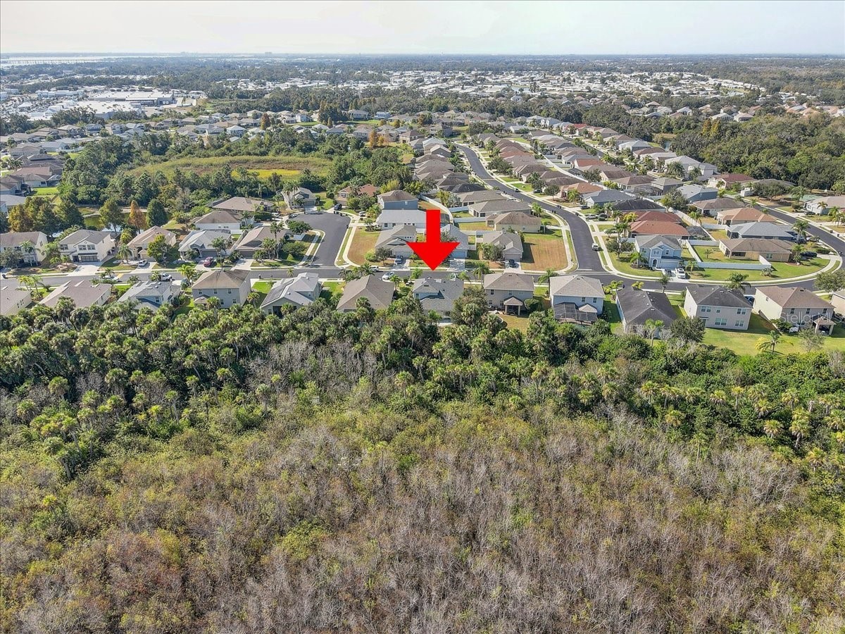 4006 91st Avenue E Parrish FL 34219 TB8452517 image47