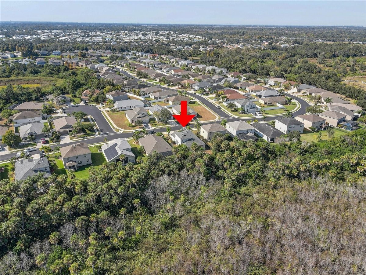 4006 91st Avenue E Parrish FL 34219 TB8452517 image48