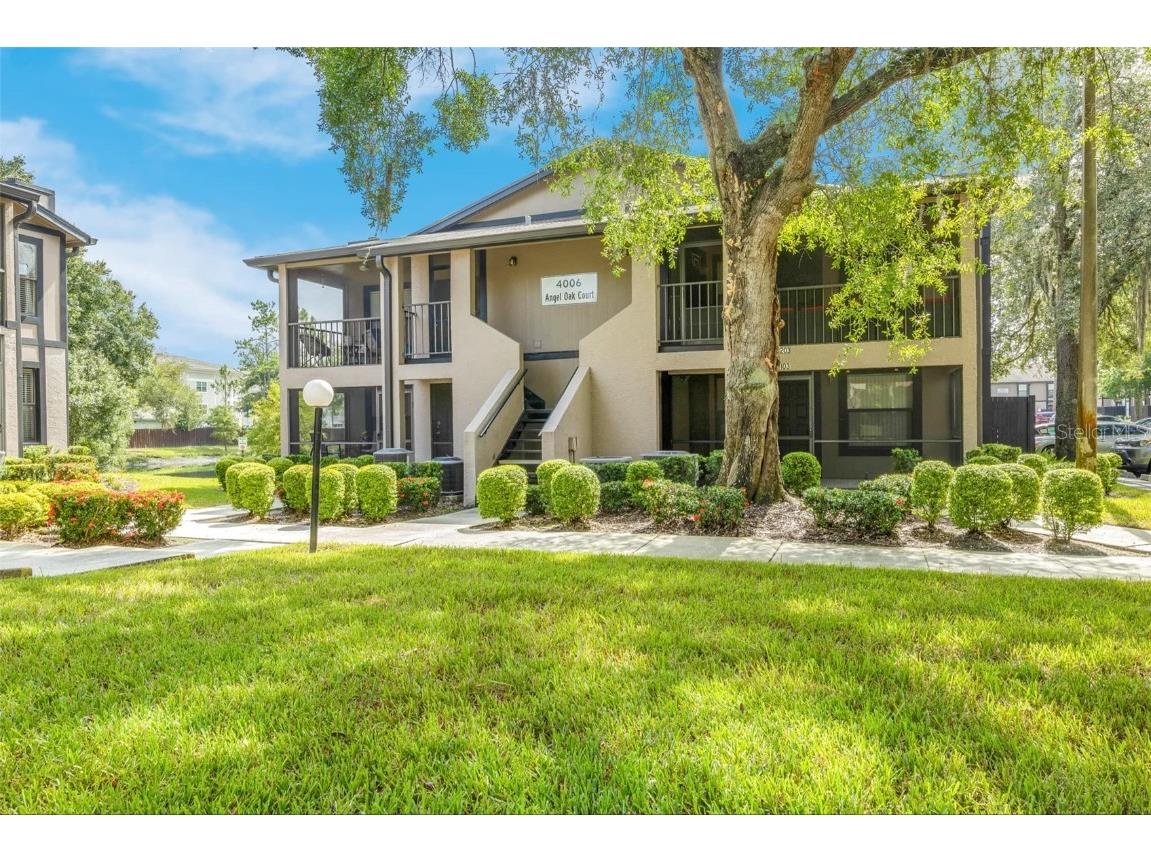 4006 Angel Oak Court #201 Tampa FL 33613 TB8308454 image1