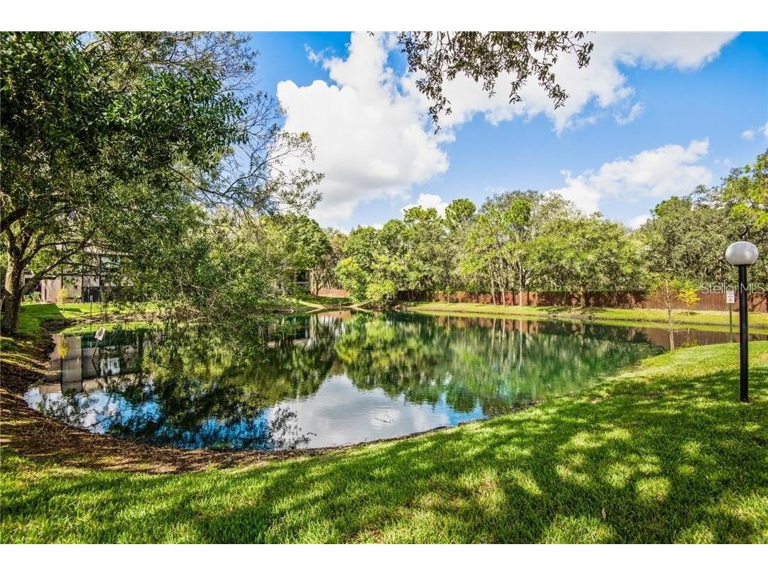 4006 Angel Oak Court #202 Tampa FL 33613 TB8448017 image15