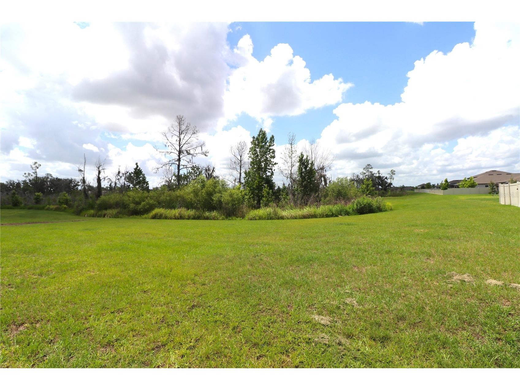 4006 Capri Coast Drive Plant City FL 33565 TB8512204 image25