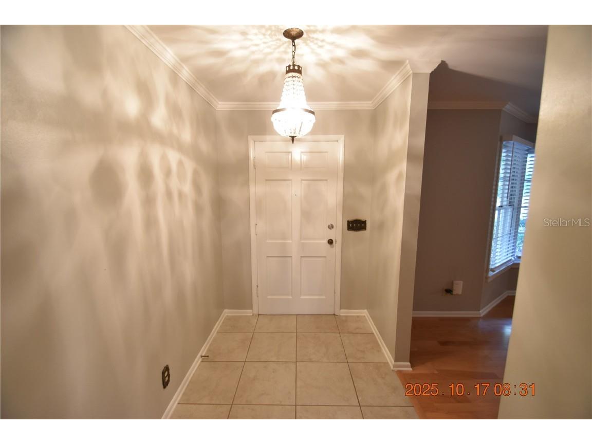 4006 W Leona Street Tampa FL 33629 TB8439071 image2