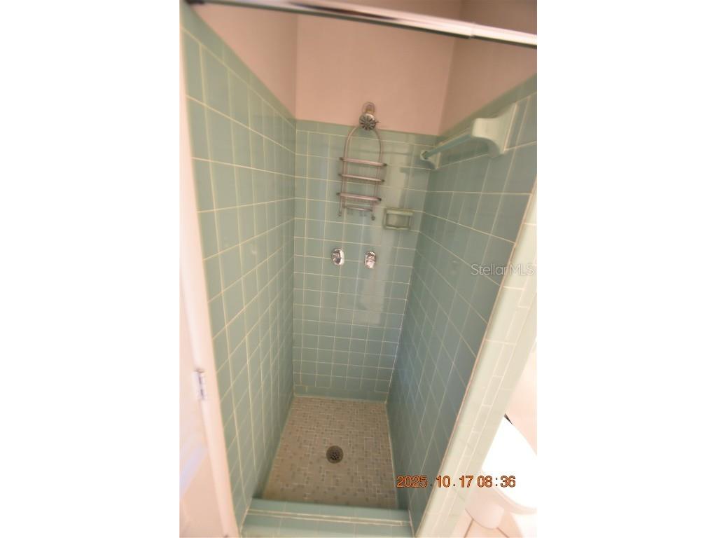 4006 W Leona Street Tampa FL 33629 TB8439071 image22