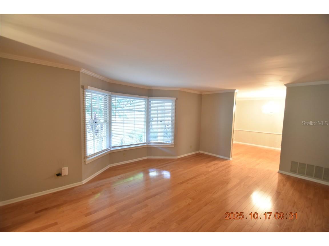 4006 W Leona Street Tampa FL 33629 TB8439071 image3