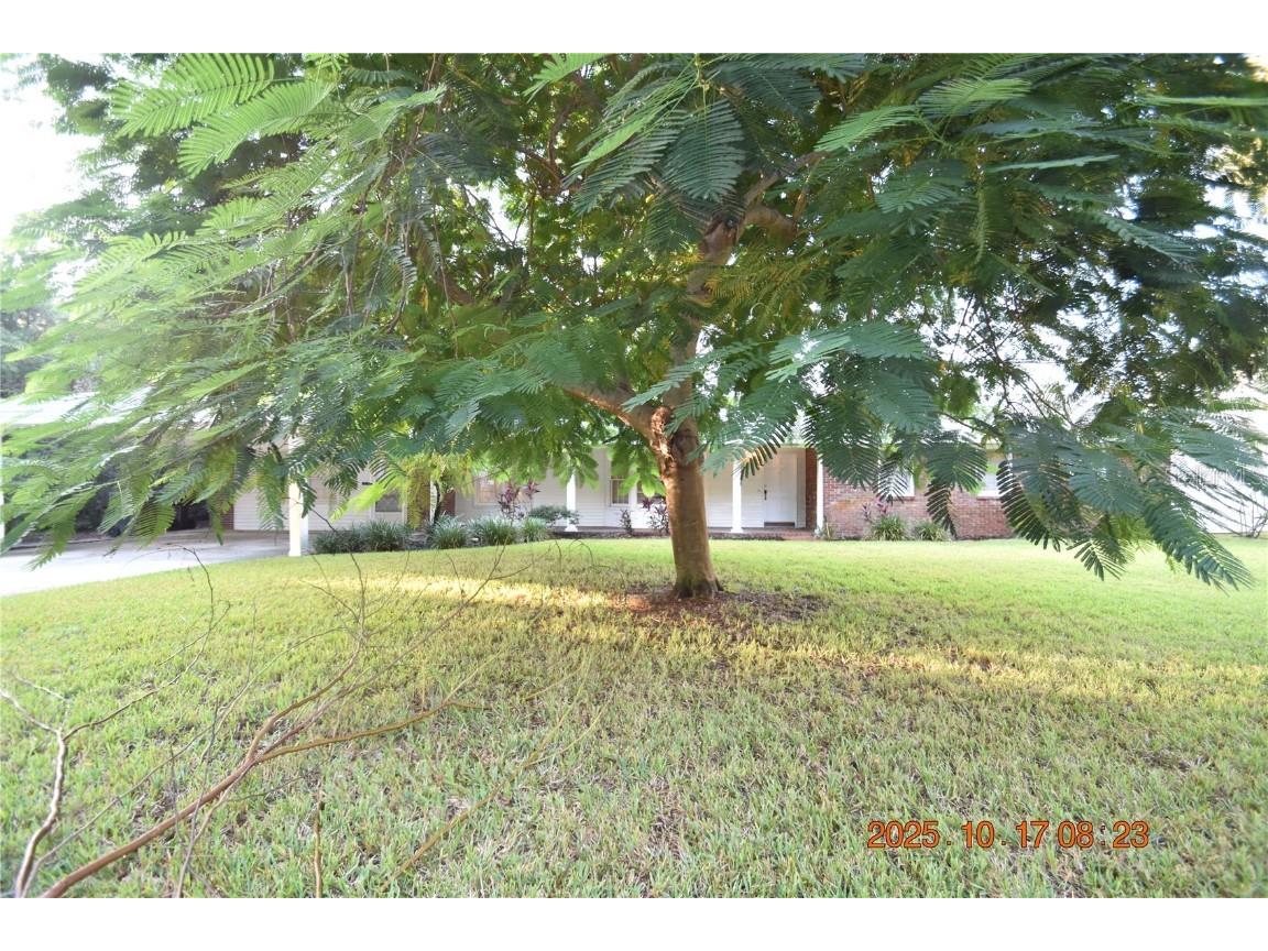 4006 W Leona Street Tampa FL 33629 TB8439071 image58