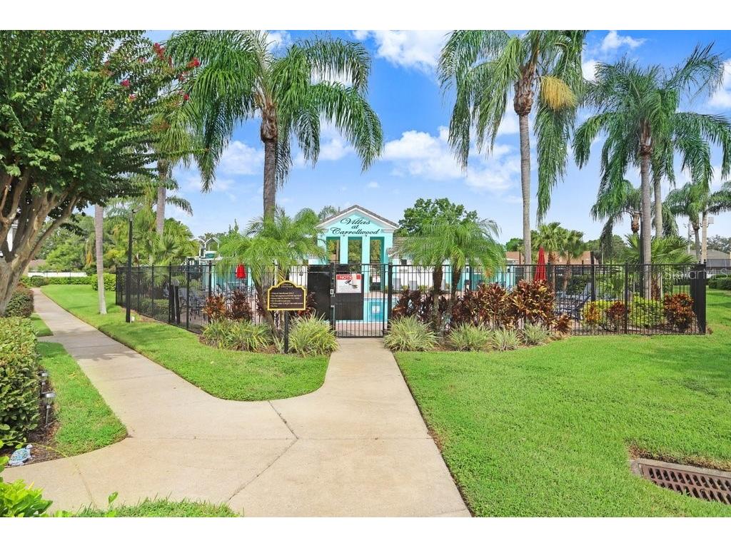 4007 Bangalow Palm Court #4007 Tampa FL 33624 TB8424767 image23