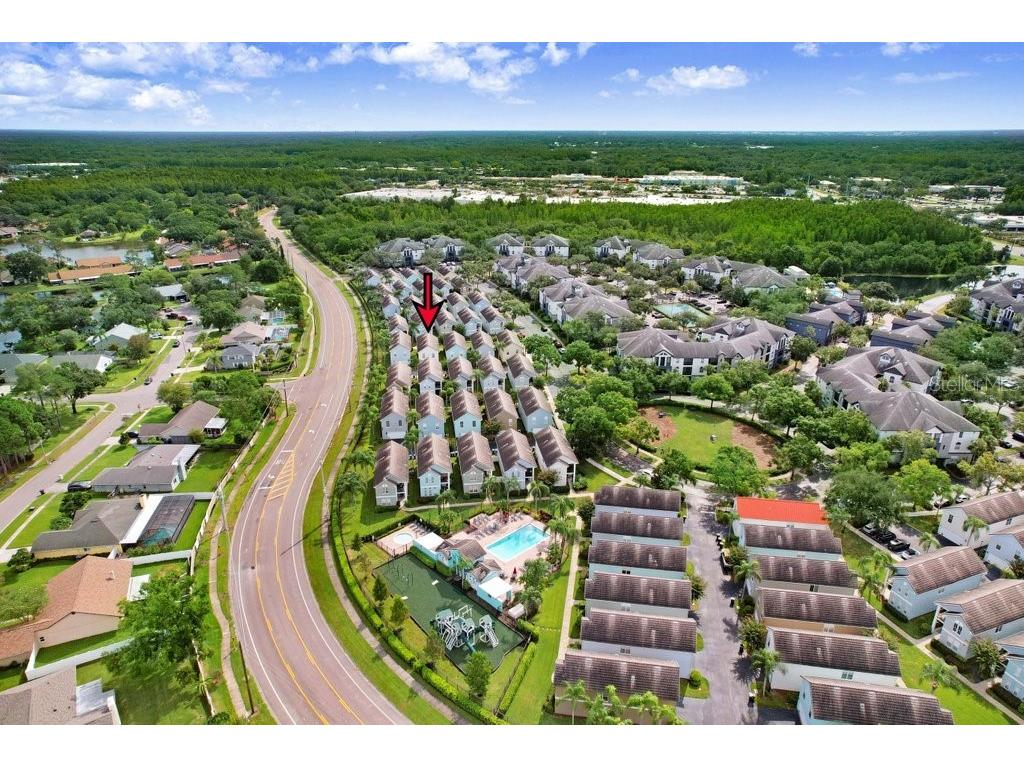 4007 Bangalow Palm Court #4007 Tampa FL 33624 TB8424767 image29