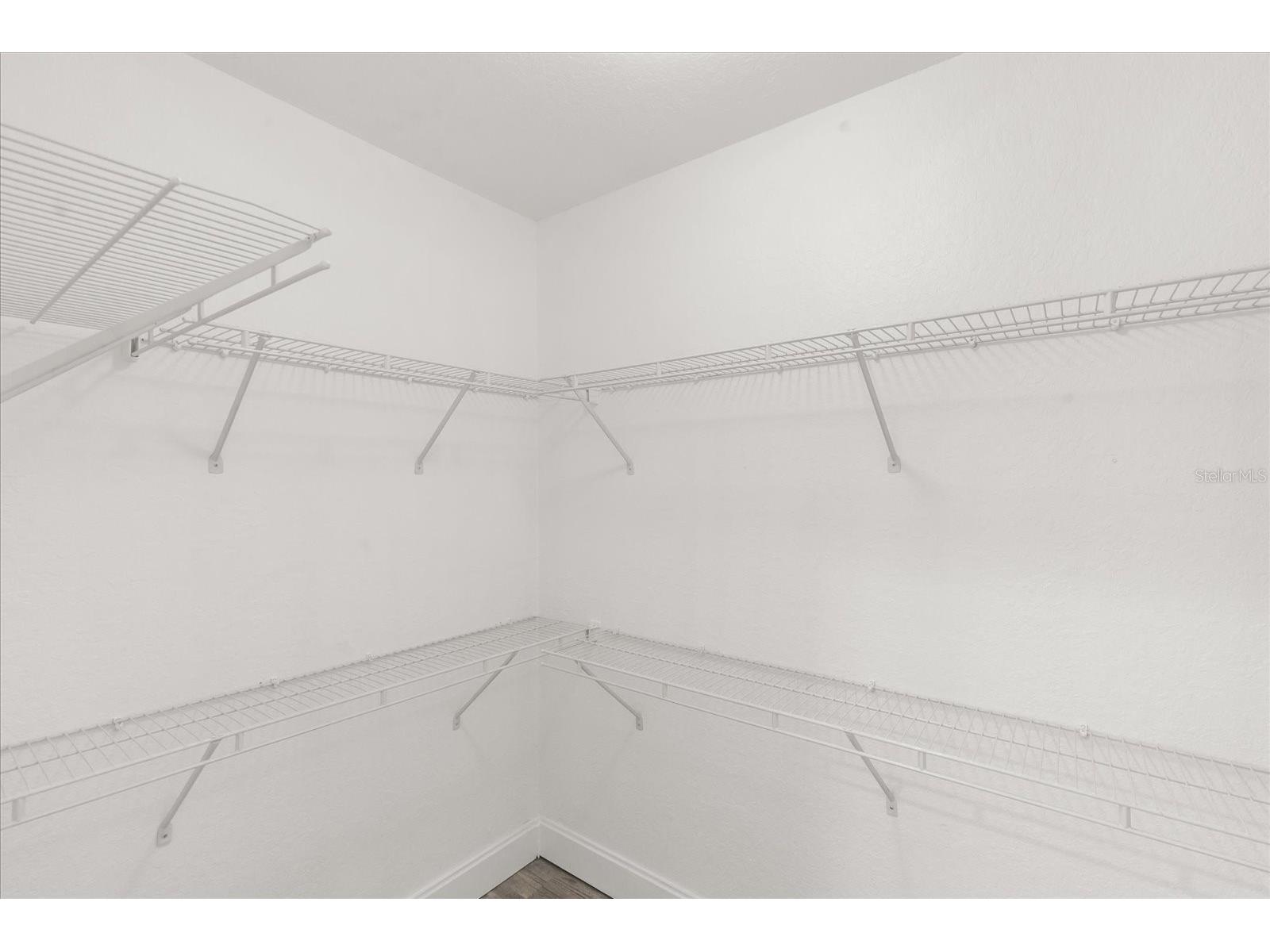 4007 Bangalow Palm Court #4007 Tampa FL 33624 TB8507331 image15