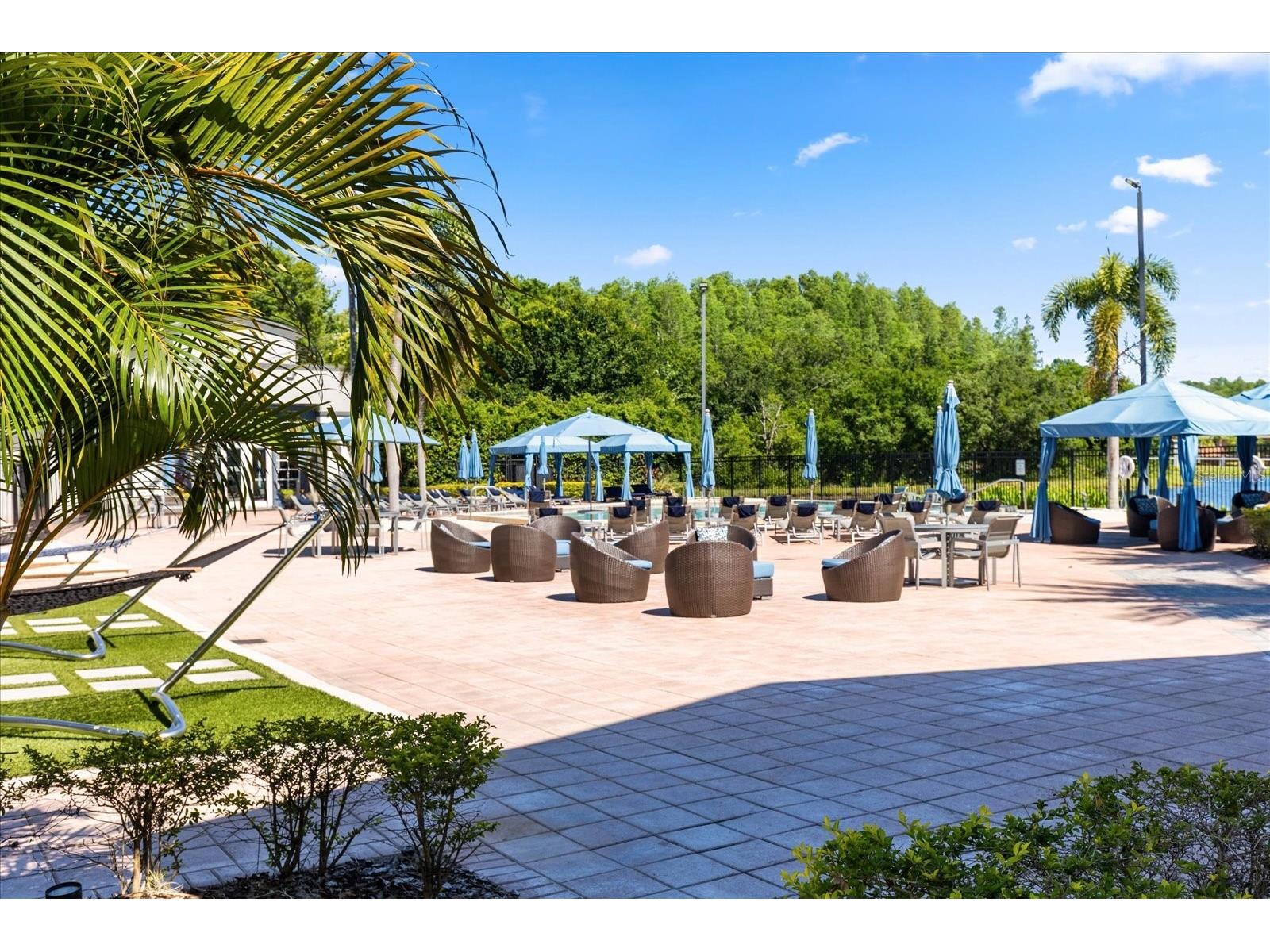 4007 Bangalow Palm Court #4007 Tampa FL 33624 TB8507331 image21