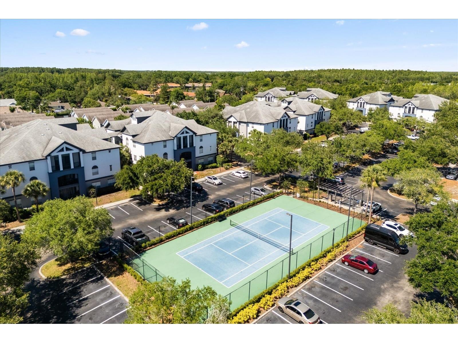 4007 Bangalow Palm Court #4007 Tampa FL 33624 TB8507331 image25