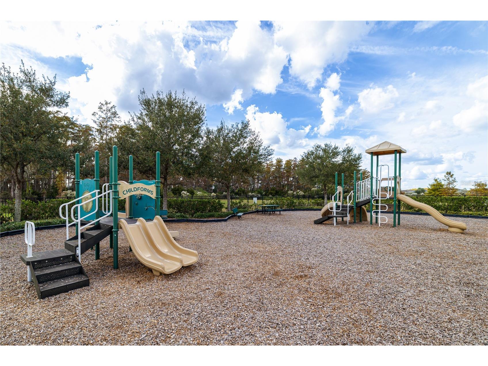 4007 Green Sabal Orlando FL 32824 S5139347 image23