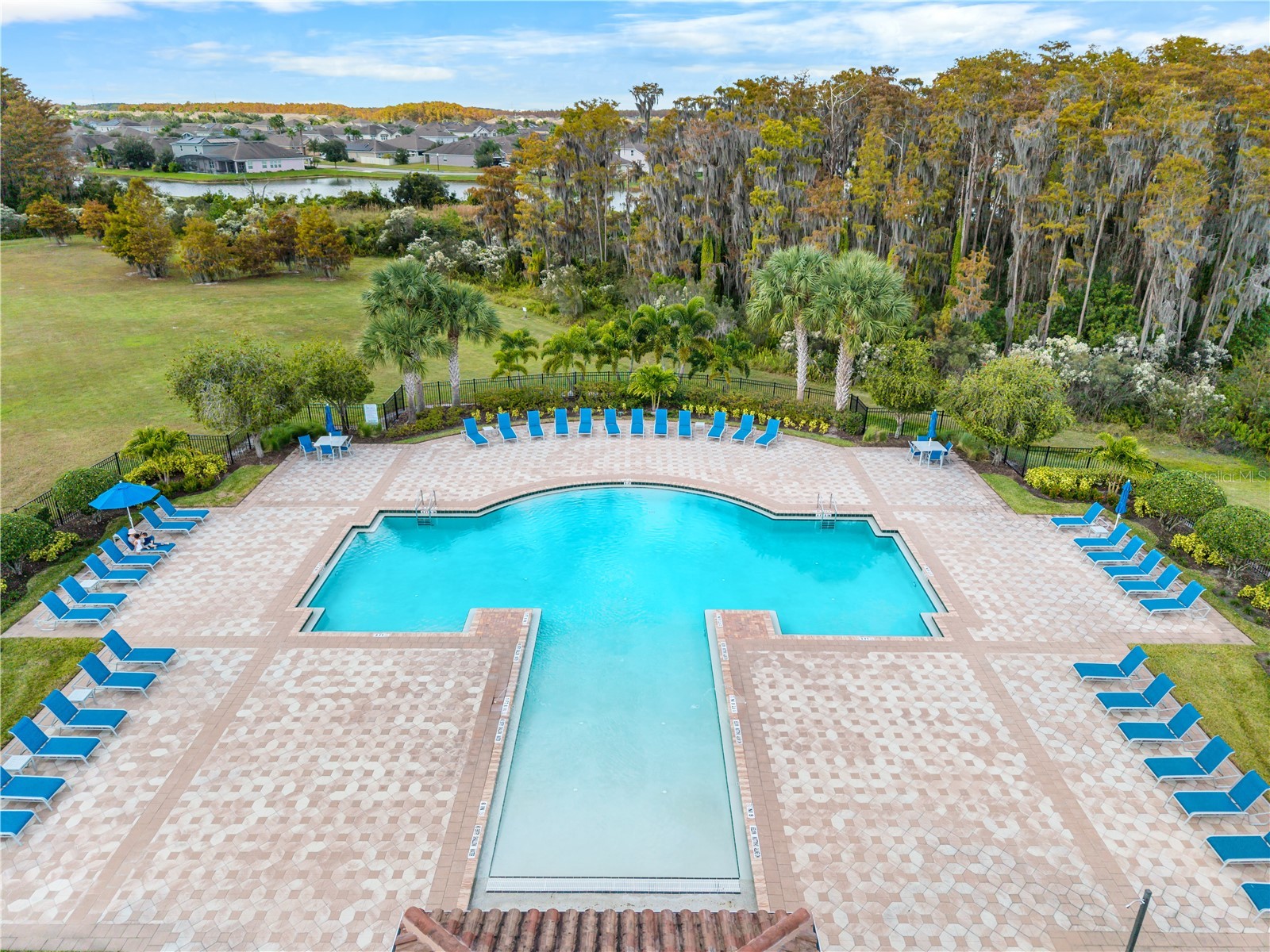 4007 Green Sabal Orlando FL 32824 S5139347 image25