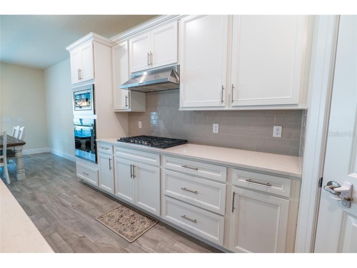 4007 Meandering Bay Drive Apopka FL 32712 O6316307 image14