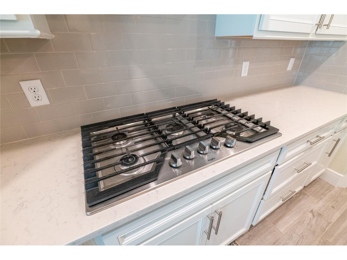 4007 Meandering Bay Drive Apopka FL 32712 O6316307 image15