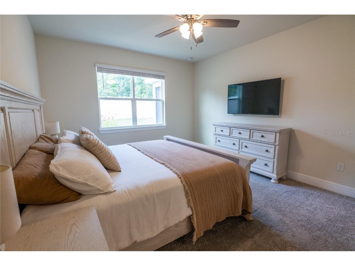 4007 Meandering Bay Drive Apopka FL 32712 O6316307 image22