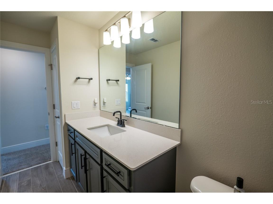 4007 Meandering Bay Drive Apopka FL 32712 O6316307 image36