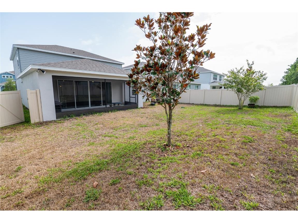 4007 Meandering Bay Drive Apopka FL 32712 O6316307 image46