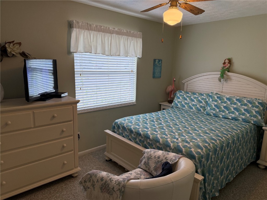 4007 Truman Drive Seffner FL 33584 TB8461306 image11