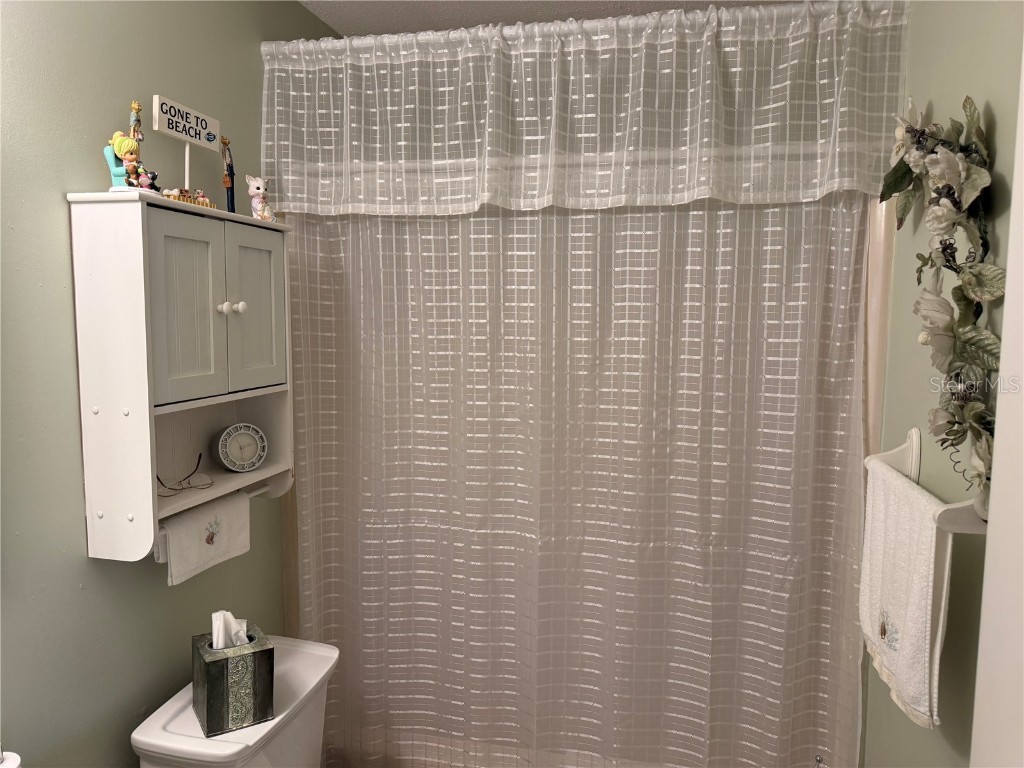 4007 Truman Drive Seffner FL 33584 TB8461306 image12