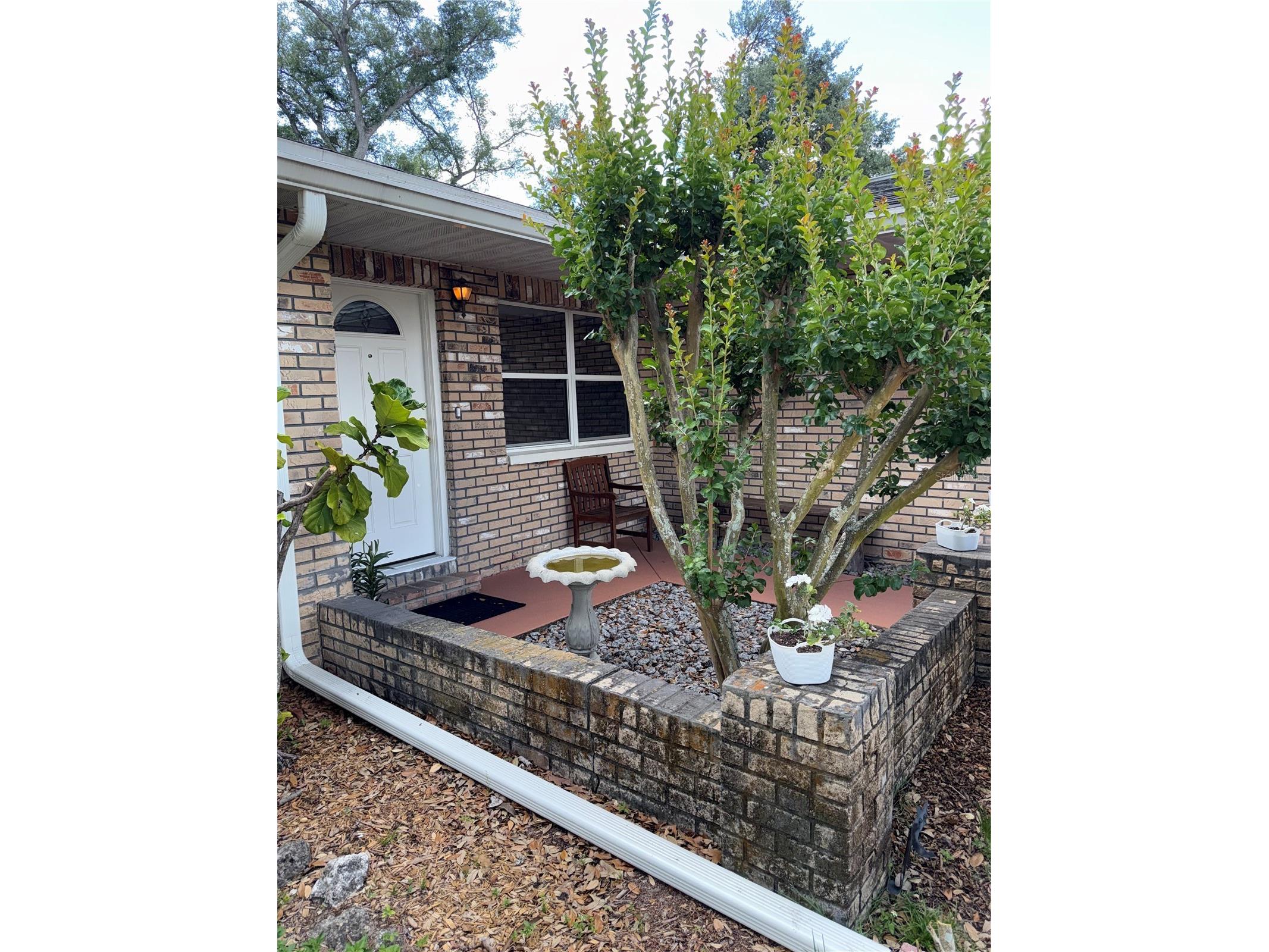 4007 Truman Drive Seffner FL 33584 TB8461306 image31