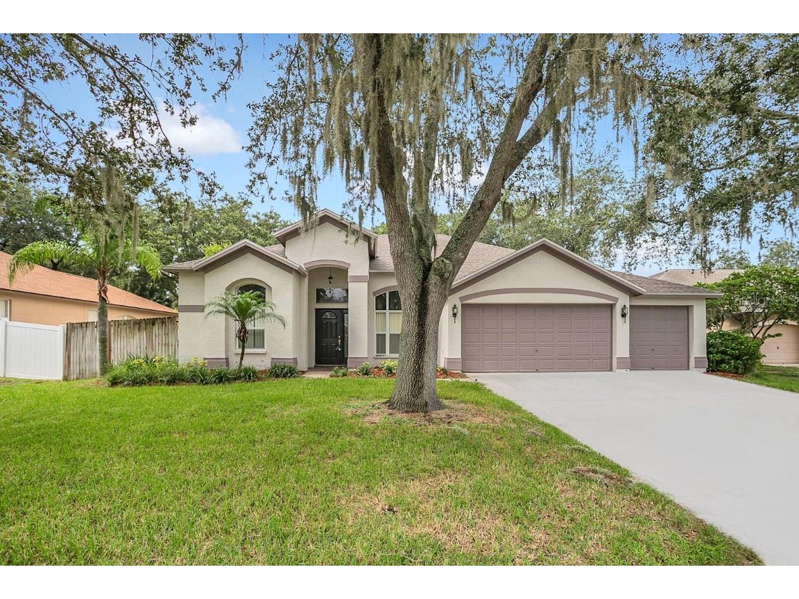 4008 Canter Court Valrico FL 33596 O6234795 image1