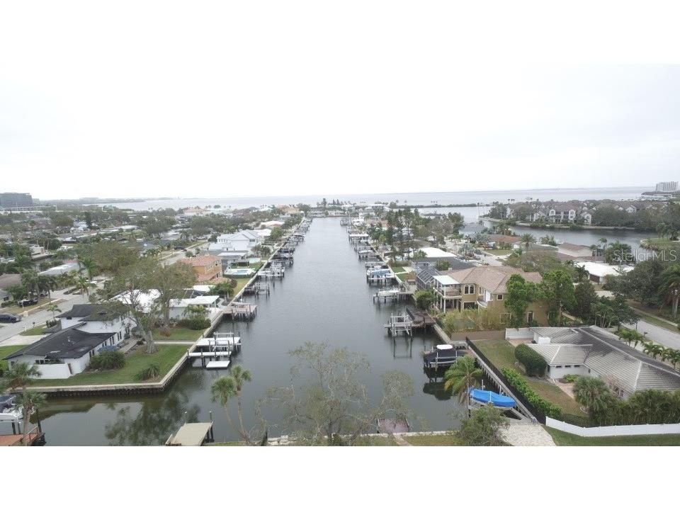 4008 Dana Shores Drive Tampa FL 33634 TB8332602 image1