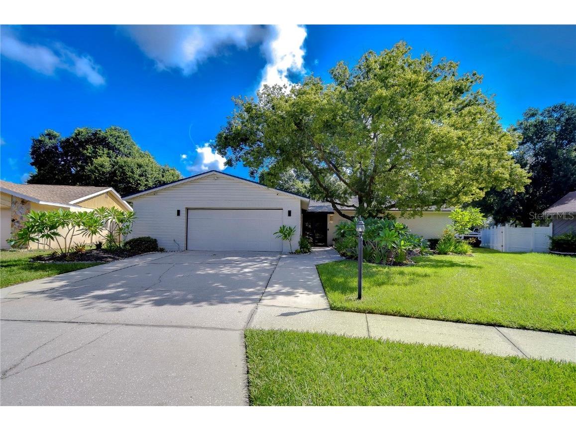 4008 Greenmark Lane Valrico FL 33596 T3546704 image1